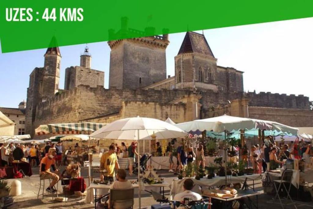 La Terrasse Des Carmes - Terrasse - Ac Clim - Spacieux Авиньон Екстериор снимка